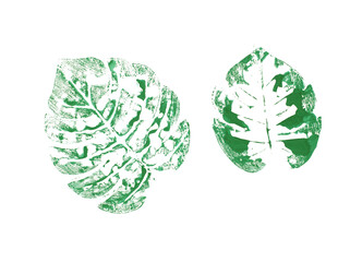 Palm leaves made by watercolor By coloring the water on the palm leaves Then put on the paper