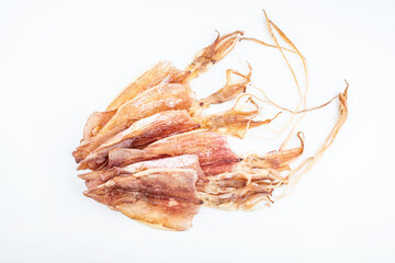 Light dried squid on white background