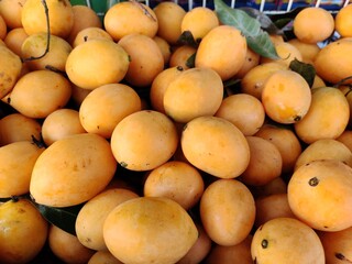 Buah Kundang