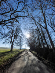 Wanderung bei Singen im Frühling