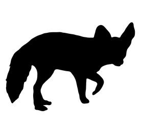 耳の大きなフェネックのシルエット