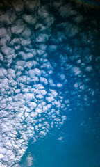 Upward view of the sky dotted with a large group of little round clouds that resemble cotton balls with a deep blue sky in the background.