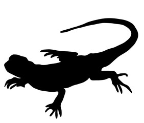 可愛いトカゲのシルエット