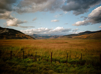 A mountain meadow near Crested Butte, Colorado strewn with golden and green grass with a fencerow in the foreground and the Rocky Mountains large colorful clouds in the background.