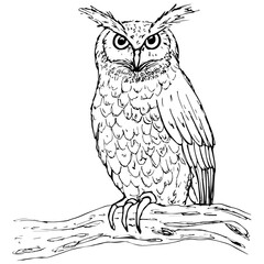 Decorative owl sitting on a branch, on a white background