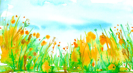 Fototapeta na wymiar Watercolor landscape with the image of wild grasses, flowers, green plants, Red poppy, fields. Against the background of the blue sky. Abstract paint spots, artwork. Vintage postcard.Pollen. 