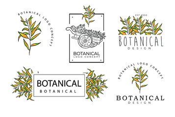 Fototapeta na wymiar Hand drawn botanical floral logo design in a minimal modern package collection