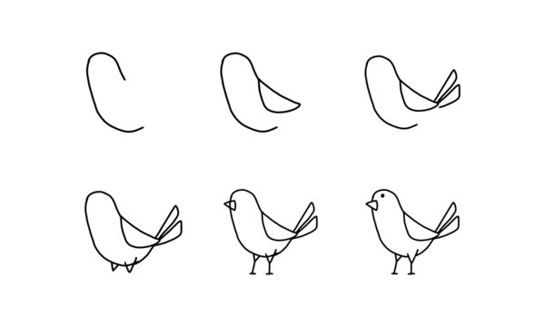 how to draw a cute bird step by step. pets animal cartoon coloring character collection for kids. easy funny animal drawing illustration for kids creativity. drawing guide book in vector design.