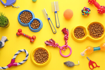 Naklejka premium Different pet care accessories on color background