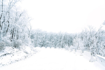 Snowy mountain road in winter forest