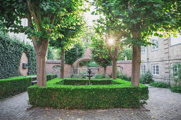 yard with trees and square hedge in Viborg Denmark