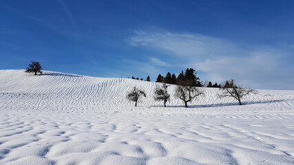Winterlandschaft mit ausgeprägten Wasserrillen im Schnee