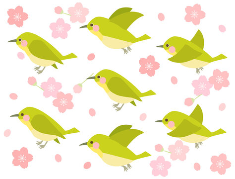 うぐいす の画像 10 142 件の Stock 写真 ベクターおよびビデオ Adobe Stock