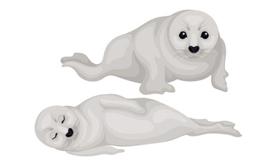 White Fur Seals as Pinniped Specie with Vibrissae and Dense Underfur Vector Set