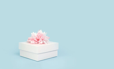 Obraz na płótnie Canvas Feminine tender pink gift box with flower bow on top on pastel blue. Passion, love and feelings St Valentines Mothers Womens Day celebration monochromatic concept with copy space banner