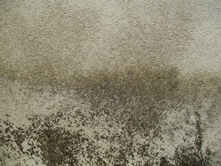 concrete wall texture