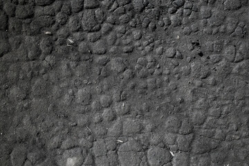 asphalt in cracks texture / abstract background cracks on asphalt road