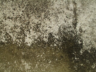 wall texture