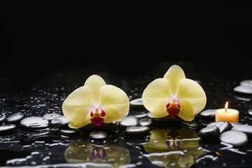 spa still life of with two yellow orchid with candle 
and zen black stones ,wet background
