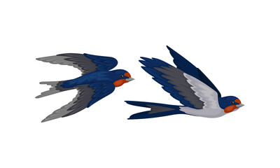 Swallow or Martin as Passerine Bird with Long Pointed Wings Vector Set