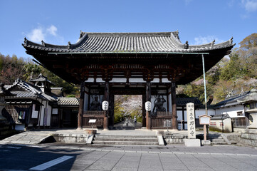 春の石山寺　東大門　滋賀県大津市