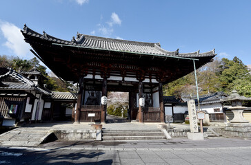 春の石山寺　東大門　滋賀県大津市