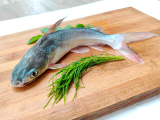Gafftopsail Cat Fish Fish decorated with herbs and vegetables .Selective Focus.
