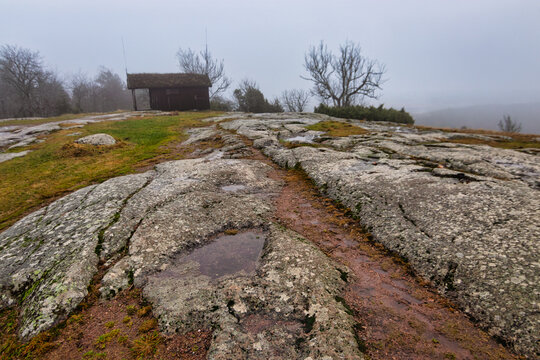 Top of Omberg hill in &Ouml;sterg&ouml;tland, Sweden. Rocky ground with a little rainwater pool. Wooden cottage in the background. Foggy, autumn day. No leaves on the trees