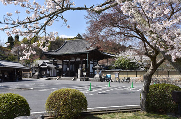 春の石山寺　東大門　滋賀県大津市