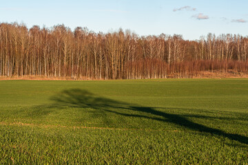 Fototapeta premium A small river with waterfalls that meander through the forest