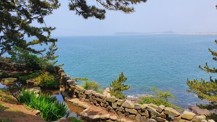 Obraz premium These are pictures of the natural scenery such as flowers, trees, and the sea in Korea.