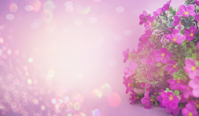 Abstract background of purple flowers with boke