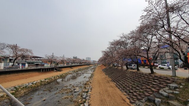 These are pictures of the natural scenery such as flowers, trees, and the sea in Korea.