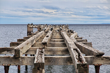 Fototapeta premium Old Wharf in the Harbor of Punta Arenas, Patagonia, Chile