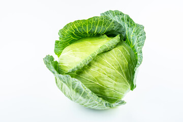 Fototapeta premium A cabbage on white background