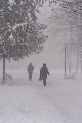 Fototapeta na wymiar City park in winter with heavy snowfall. Passers people walks down the street in the snow storm in the city.