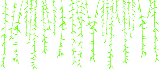 Vector illustration of willow branches with leaves