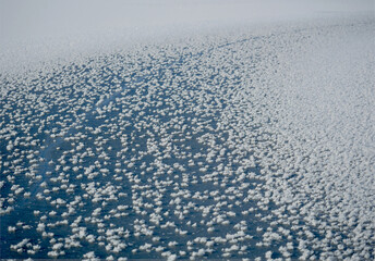 Frost flowers on a frozen lake