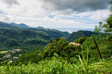 Landscape view on trail to the Trafalgar waterfalls. Morne Trois Pitons National Park, Dominica, Leeward Islands