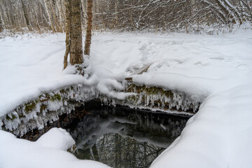 Source of drinking water in the winter forest. The edges of the spring are covered with fluffy large frost, which is beautifully reflected in the clear transparent water. Sustainability and beauty 