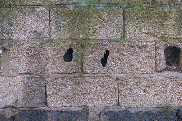 ruined briquette wall and mosses