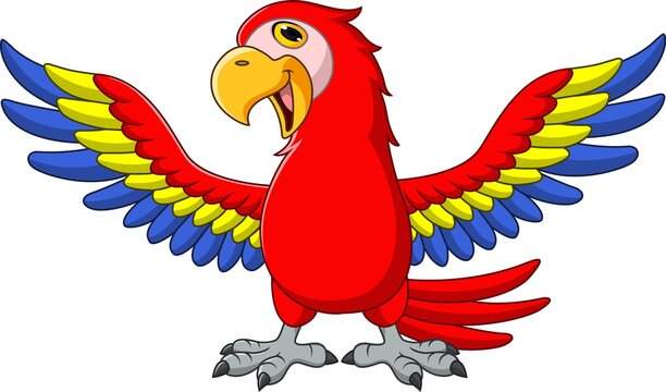Cartoon funny macaw isolated on white background