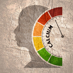 Gradient scale. Calcium level measuring device. Sign tachometer, speedometer, indicators. Infographic gauge element. Head of man silhouette.
