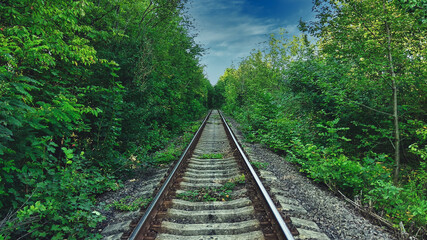 Obraz premium railway in the woods