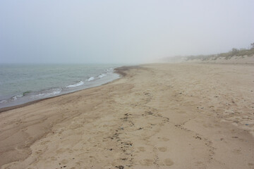 Sandy shore of the Baltic Sea