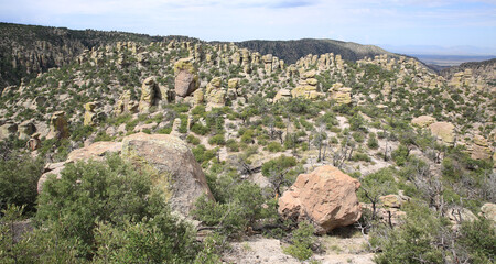 Fototapeta na wymiar Chiricahua National Monument in Arizona, USA