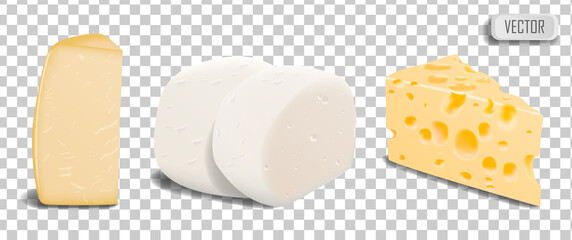 A set of pieces of different types of parmesan cheese, mozzarella and Swiss cheese. Illustration isolated on transparent background