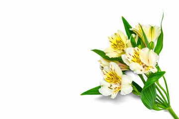 bouquet of alstroemeria flowers isolated on white background Top view Flat lay Floral holiday card 8 March, Happy Valentine's day, Mother's day, Spring concept Mock up