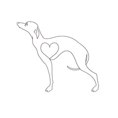 Italian Greyhound icon. Dog breed Italian Greyhound drawn as a single line. Dog tattoo.