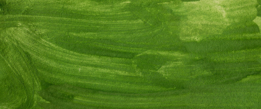 Abstract green paint background with liquid fluid texture background. can be used as header or banner